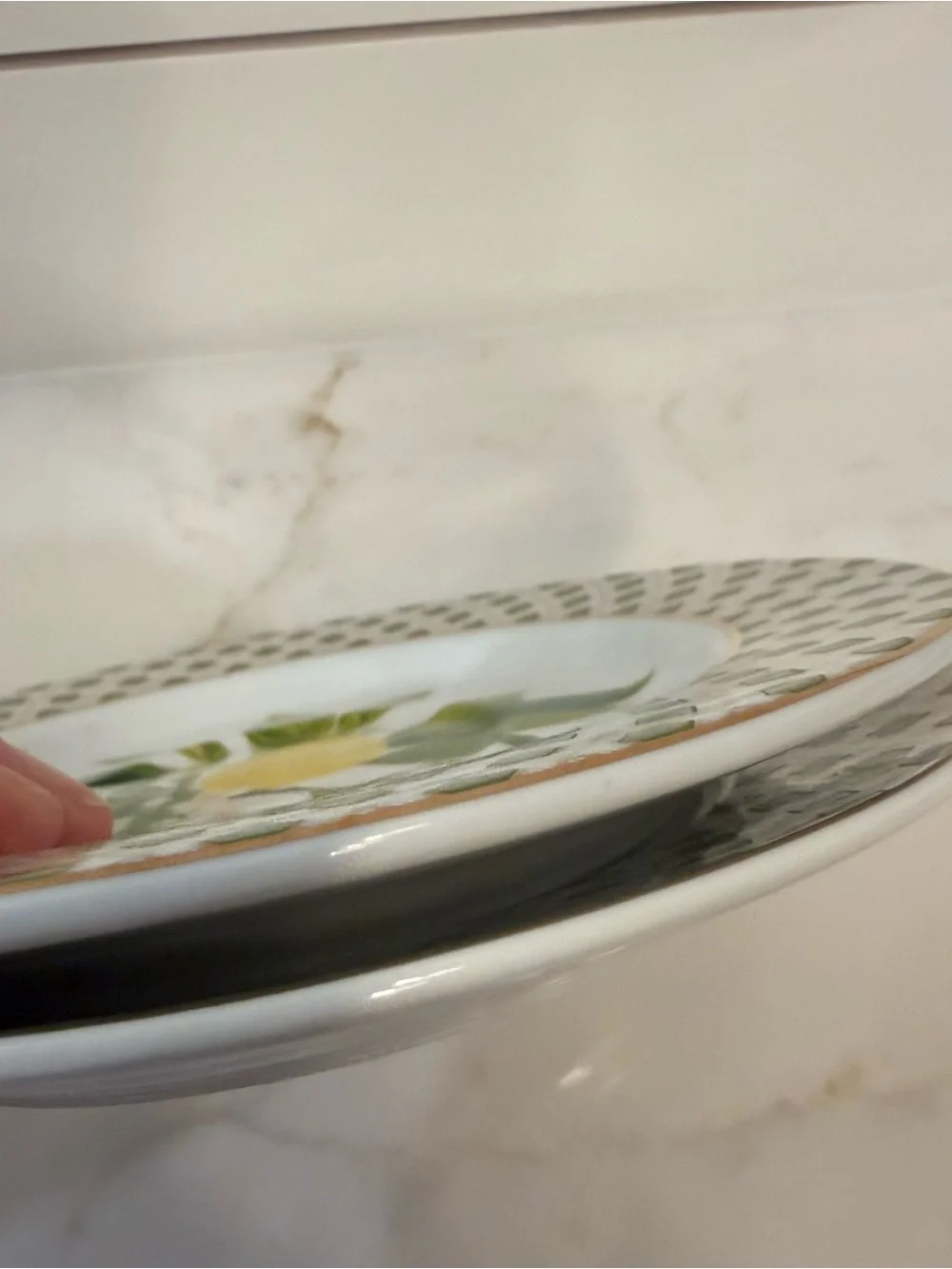 Williams Sonoma Limone Dinnerware